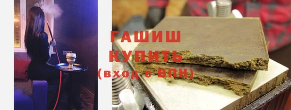 гидра Няндома