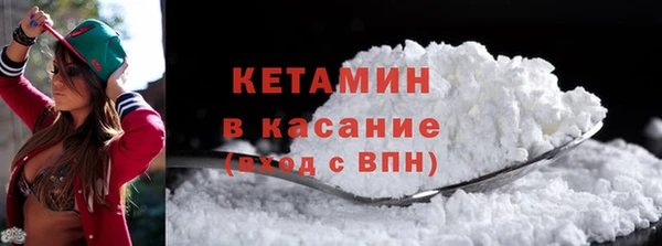 гидра Няндома