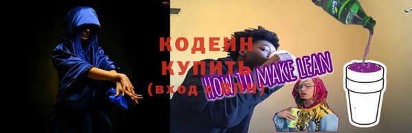 гидра Няндома