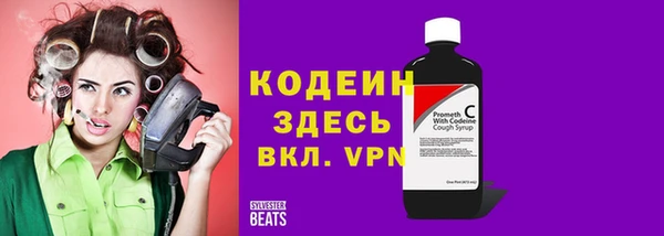 гидра Няндома