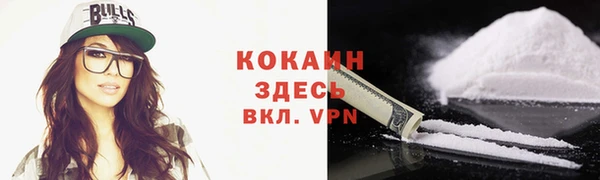 гидра Няндома