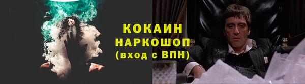 гидра Няндома
