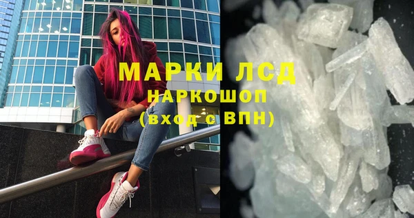 гидра Няндома