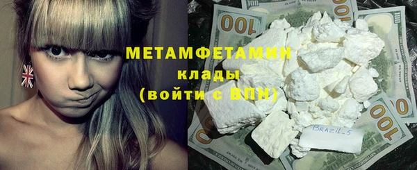 гидра Няндома