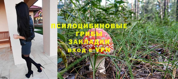 гидра Няндома