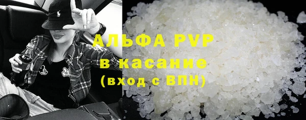 гидра Няндома