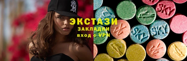 гидра Няндома
