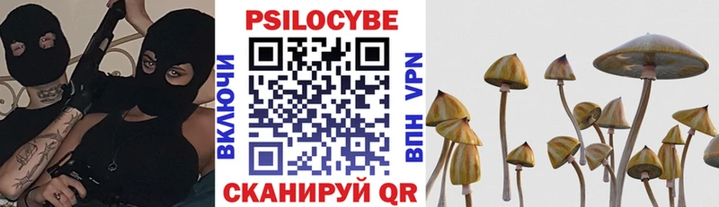 цена ОМГ ОМГ сайт Псилоцибиновые грибы прущие грибы Нахабино